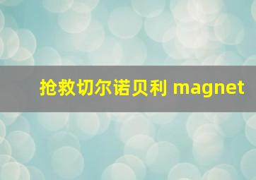 抢救切尔诺贝利 magnet